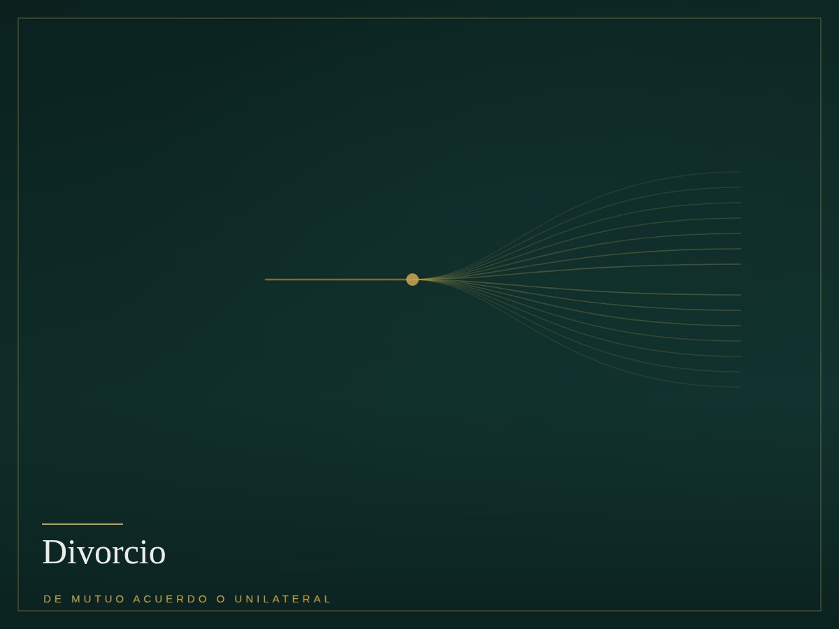 Marca grafica del area de divorcio